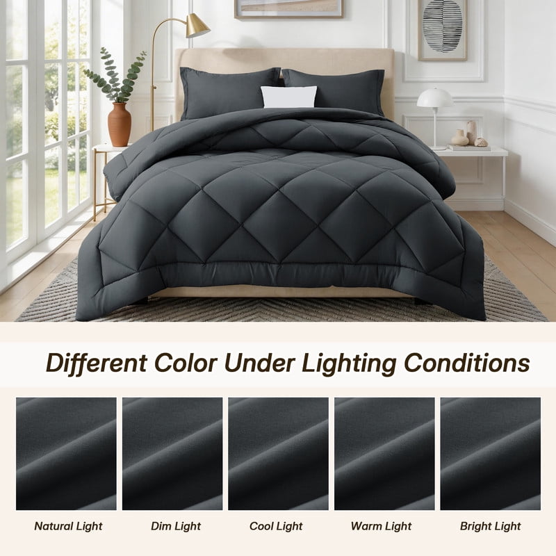 Heavyweight Warmth 3 Pieces Queen Size Comforter Set, All Season Lightweight Breathable Bedding Set with 1 Down Alternative Comforter an... - Hypoallergenic Ultra-Fluffy Quilt for Winter Detail