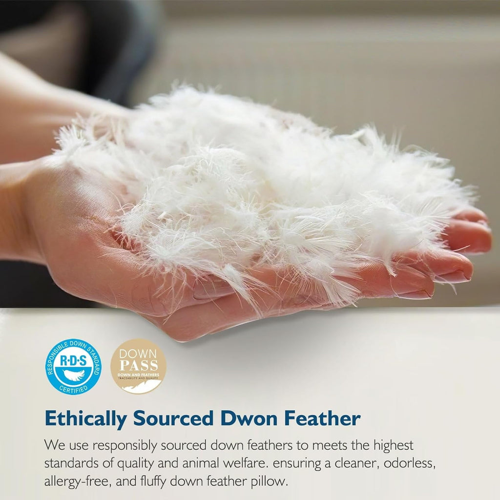 Hotel Collection Hypoallergenic 3‑Chamber Goose Feather Down Core Bed Pillows, Standard Size Set of 2, With Microfiber Surround, Soft-... - Decorative Throw Pillow Cushion for Sofa & Bed Detail