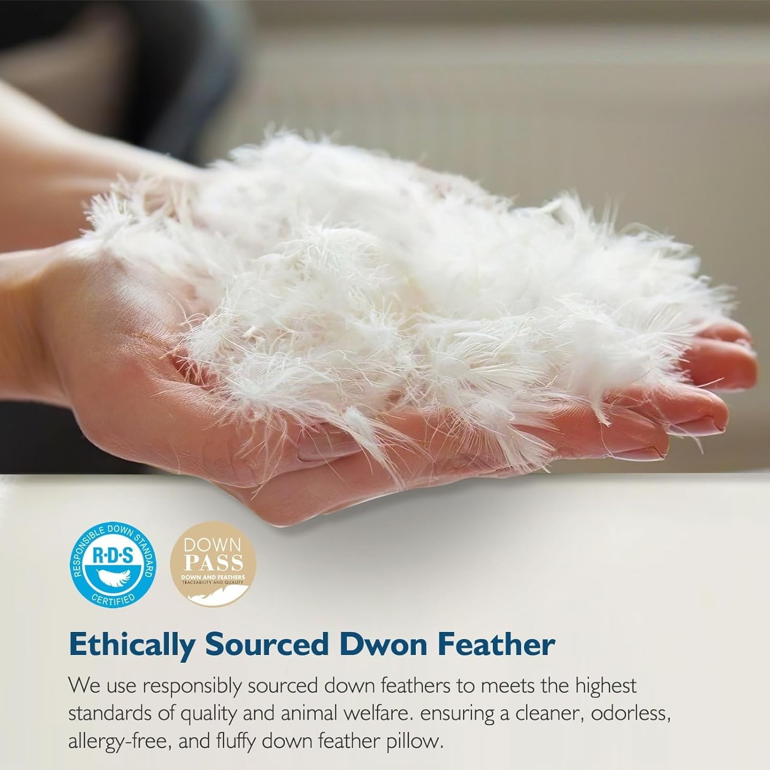 Hotel Collection Hypoallergenic 3‑Chamber Goose Feather Down Core Bed Pillows, Standard Size Set of 2, With Microfiber Surround, Soft-... - Decorative Throw Pillow Cushion for Sofa & Bed Detail