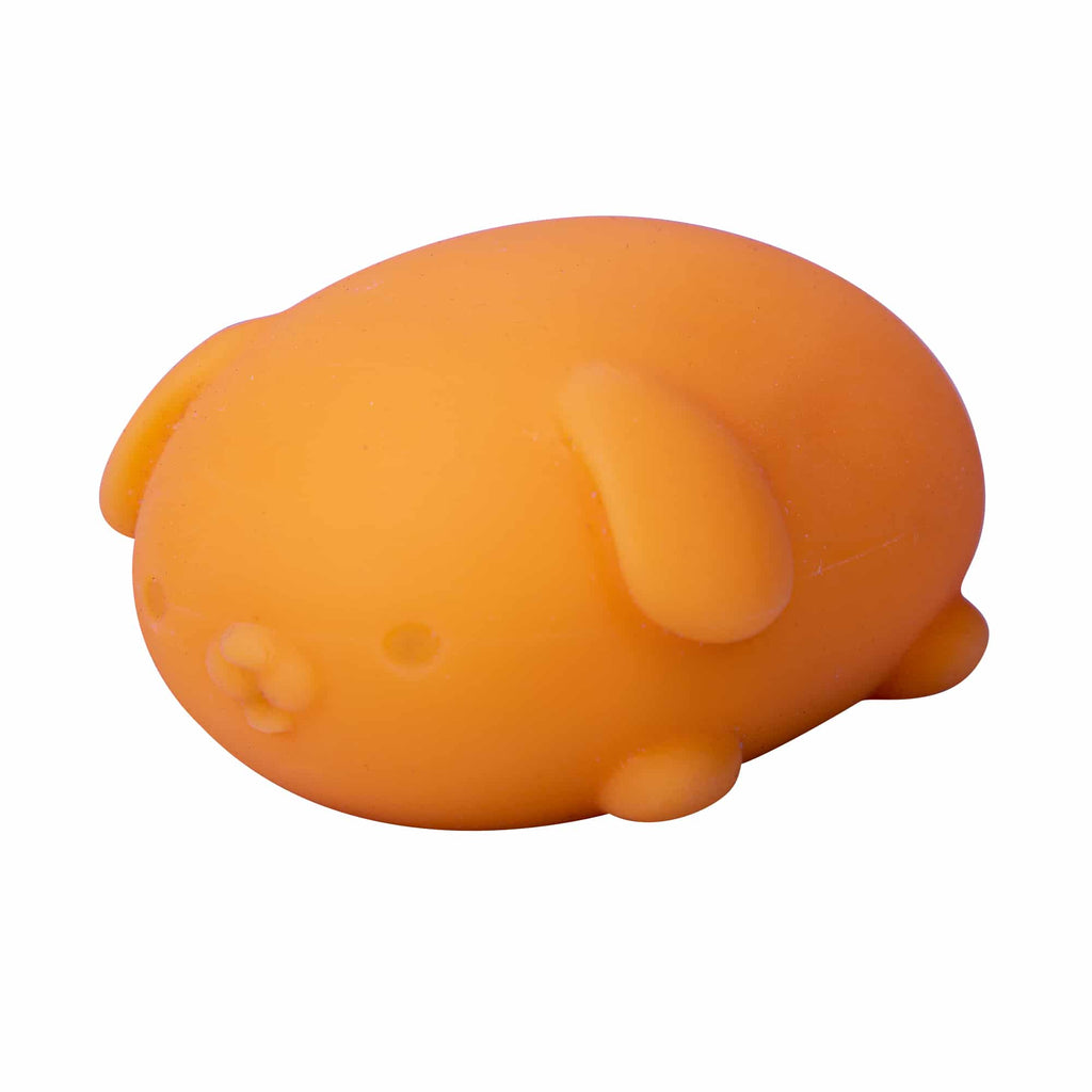 Animal-Shaped NeeDoh Funky Pup | Collection Canyon Shore - Collectible Shaggy Monster Squishable Toy Detail