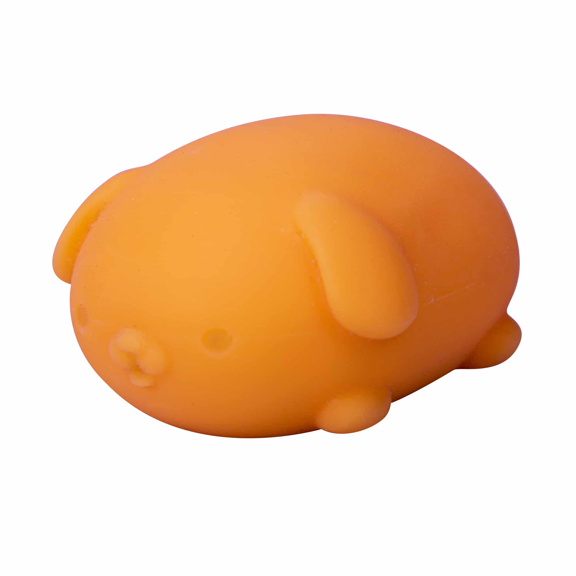 Animal-Shaped NeeDoh Funky Pup | Collection Canyon Shore - Collectible Shaggy Monster Squishable Toy Detail