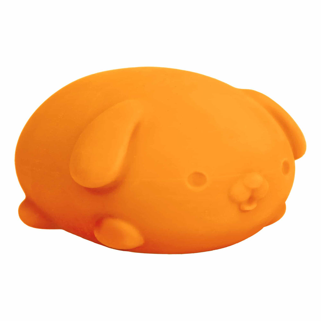 Animal-Shaped NeeDoh Funky Pup | Collection Canyon Shore - Collectible Shaggy Monster Squishable Toy Detail