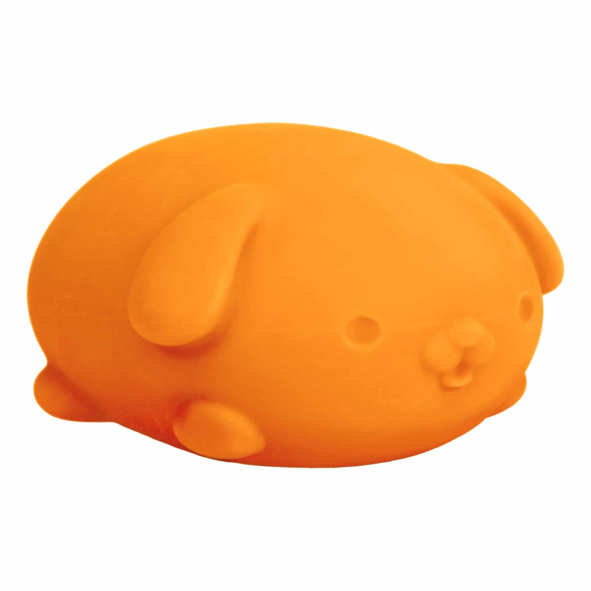 Animal-Shaped NeeDoh Funky Pup | Collection Canyon Shore - Collectible Shaggy Monster Squishable Toy Detail