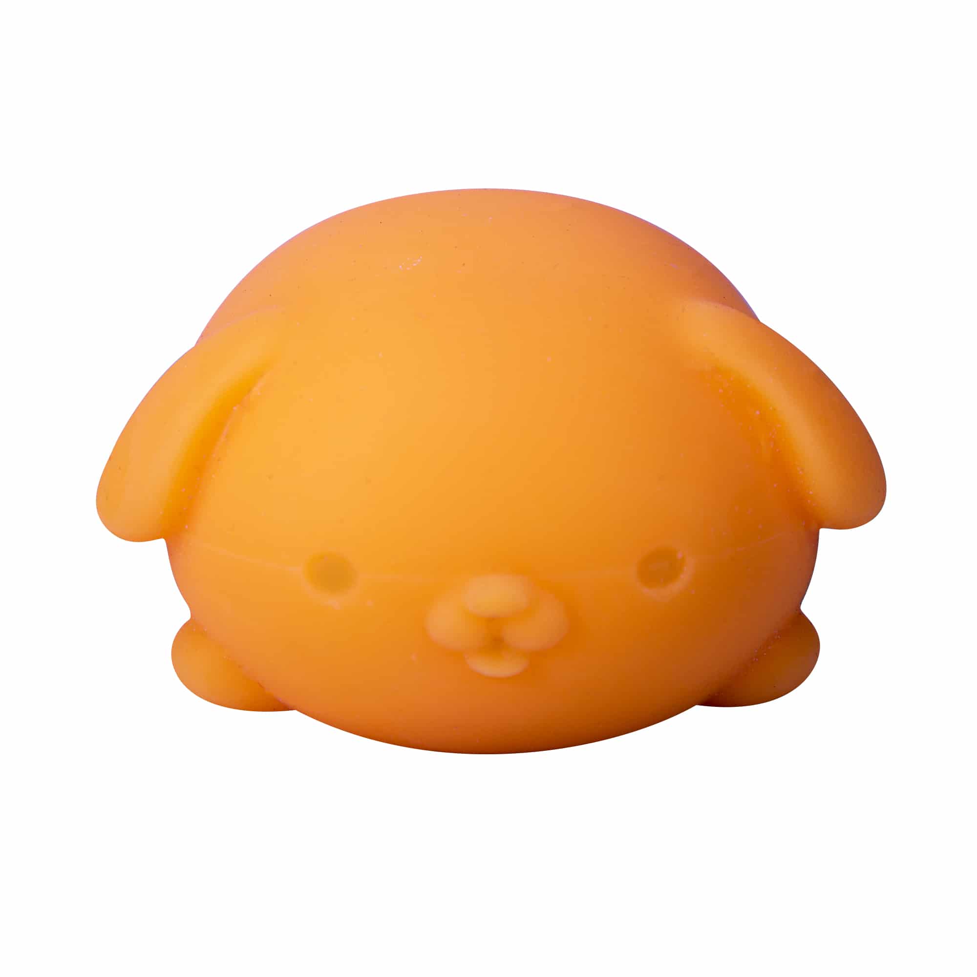 Animal-Shaped NeeDoh Funky Pup | Collection Canyon Shore - Collectible Shaggy Monster Squishable Toy Detail