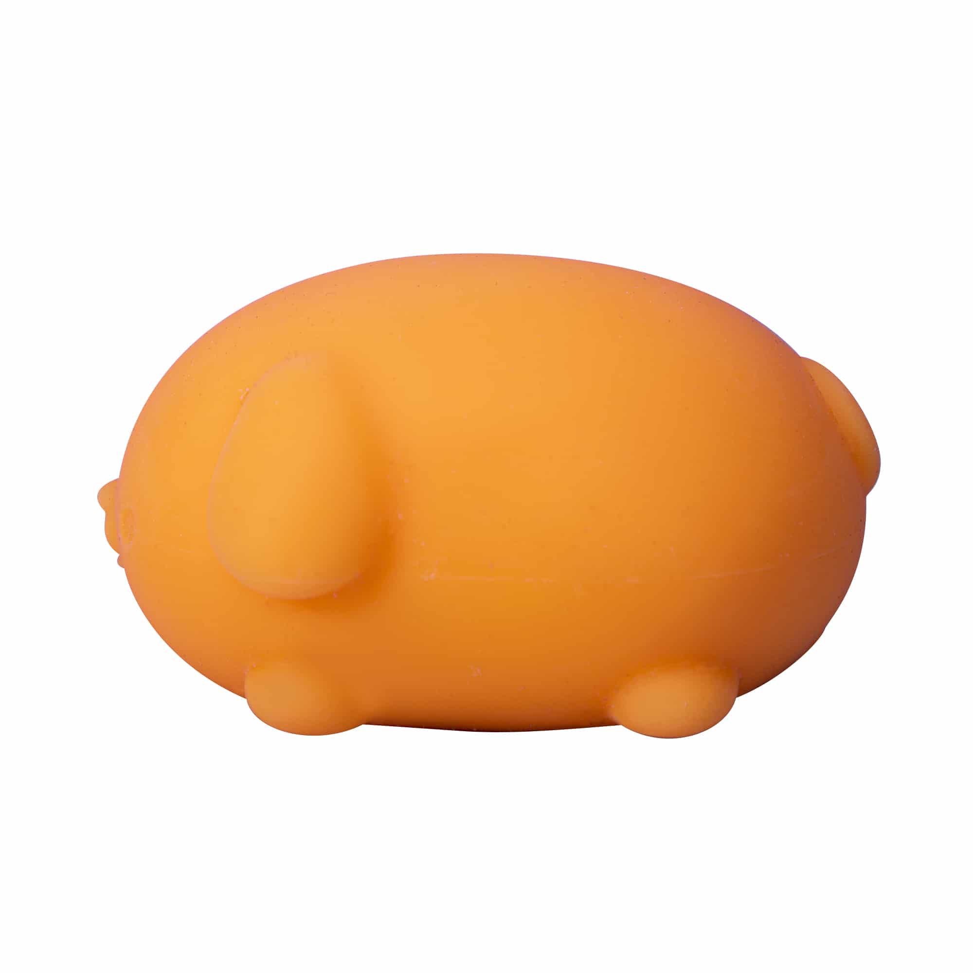 Animal-Shaped NeeDoh Funky Pup | Collection Canyon Shore - Collectible Shaggy Monster Squishable Toy Detail
