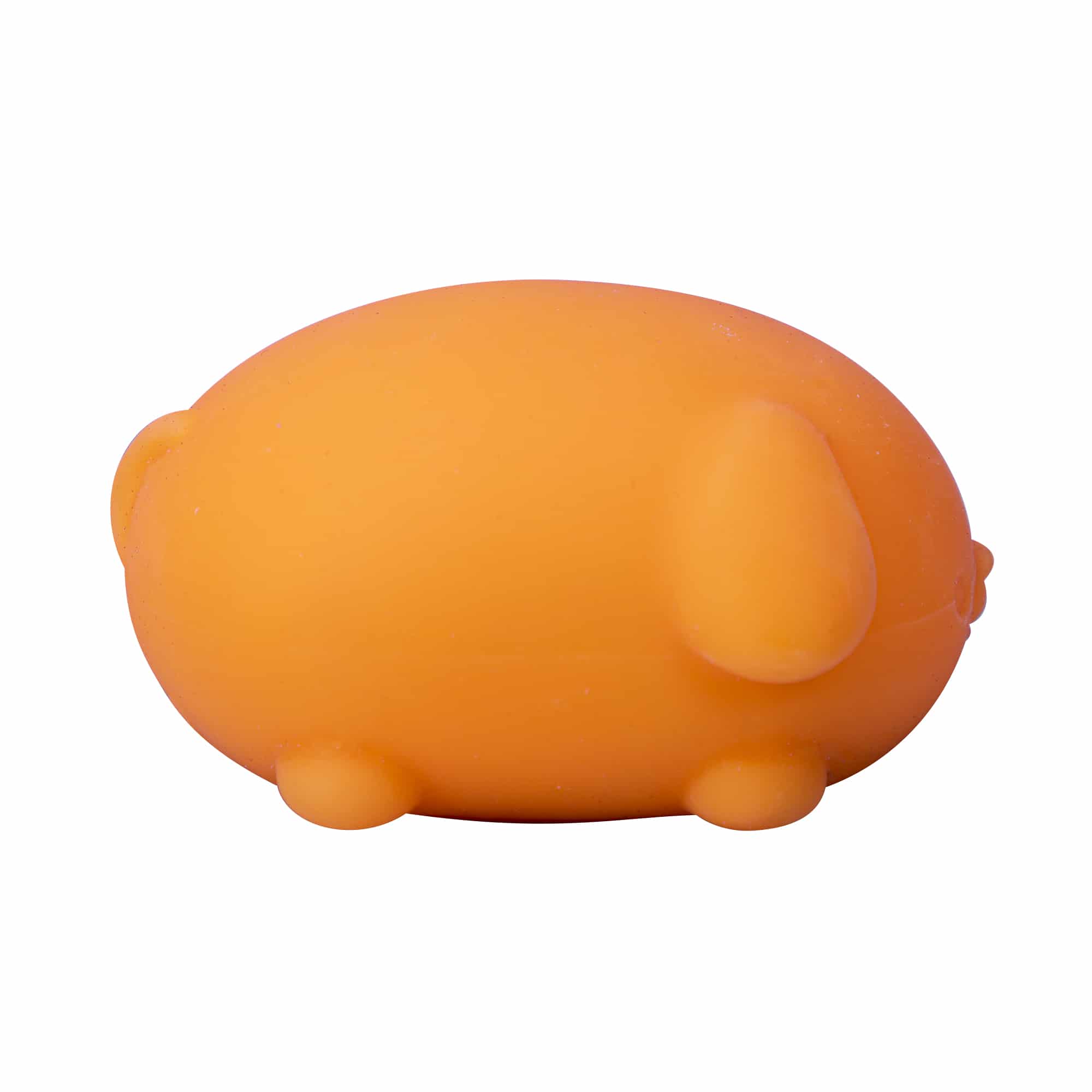 Animal-Shaped NeeDoh Funky Pup | Collection Canyon Shore - Collectible Shaggy Monster Squishable Toy Detail