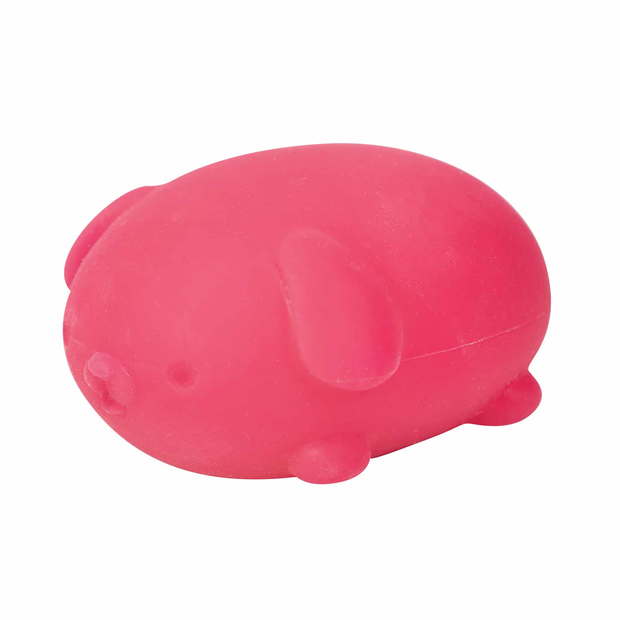 Animal-Shaped NeeDoh Funky Pup | Collection Canyon Shore - Collectible Shaggy Monster Squishable Toy Detail