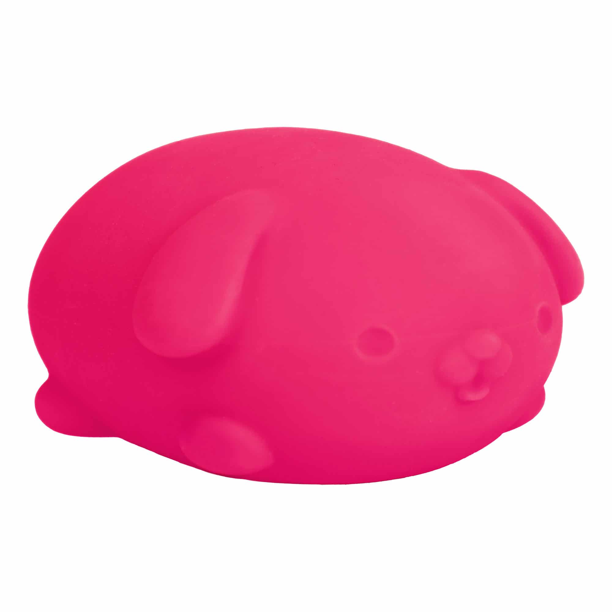 Animal-Shaped NeeDoh Funky Pup | Collection Canyon Shore - Collectible Shaggy Monster Squishable Toy Detail
