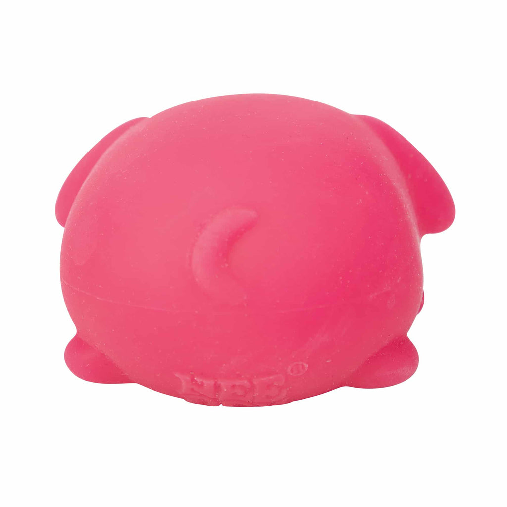 Animal-Shaped NeeDoh Funky Pup | Collection Canyon Shore - Collectible Shaggy Monster Squishable Toy Detail