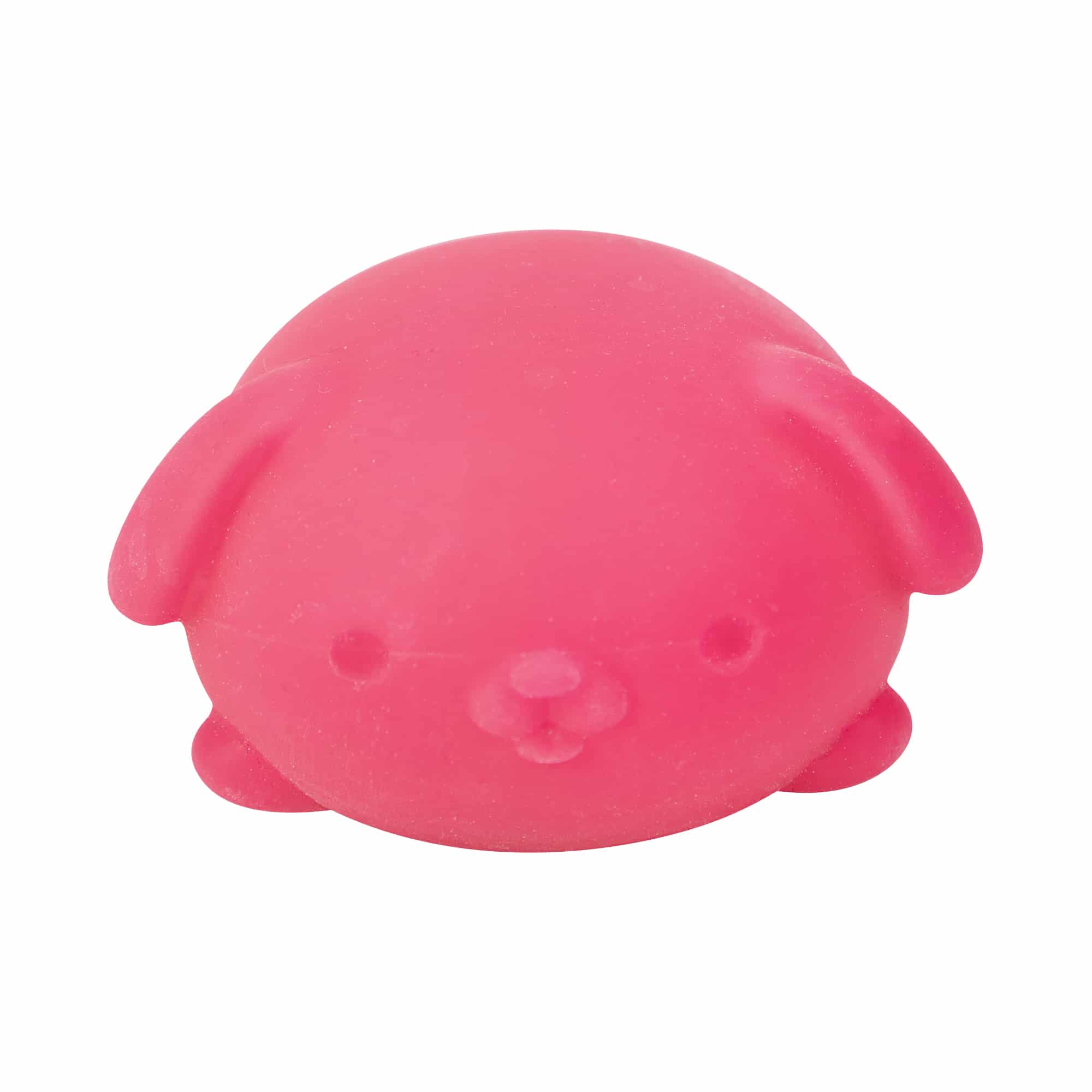 Animal-Shaped NeeDoh Funky Pup | Collection Canyon Shore - Collectible Shaggy Monster Squishable Toy Detail