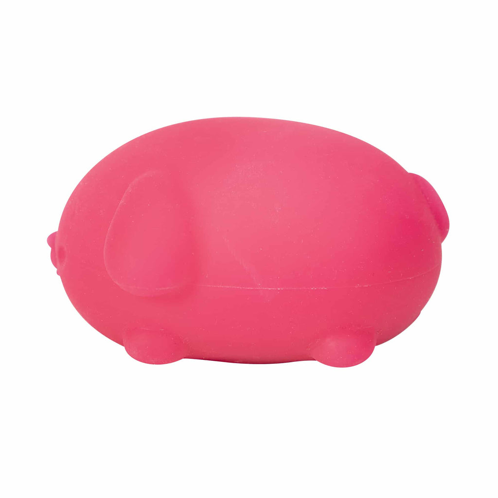 Animal-Shaped NeeDoh Funky Pup | Collection Canyon Shore - Collectible Shaggy Monster Squishable Toy Detail