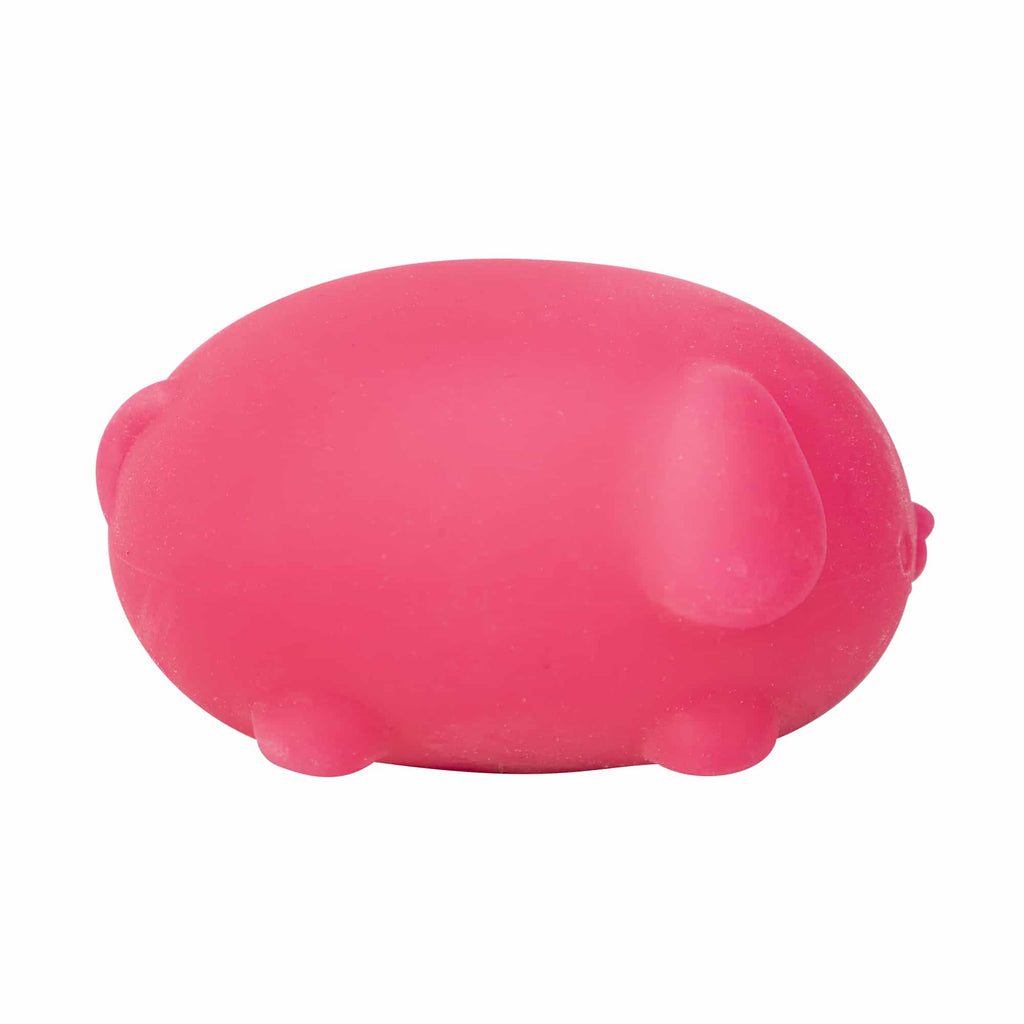 Animal-Shaped NeeDoh Funky Pup | Collection Canyon Shore - Collectible Shaggy Monster Squishable Toy Detail