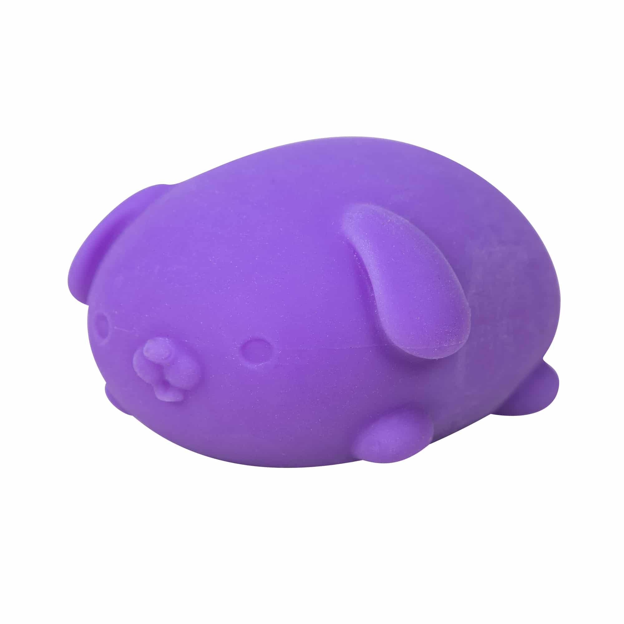 Animal-Shaped NeeDoh Funky Pup | Collection Canyon Shore - Collectible Shaggy Monster Squishable Toy Detail