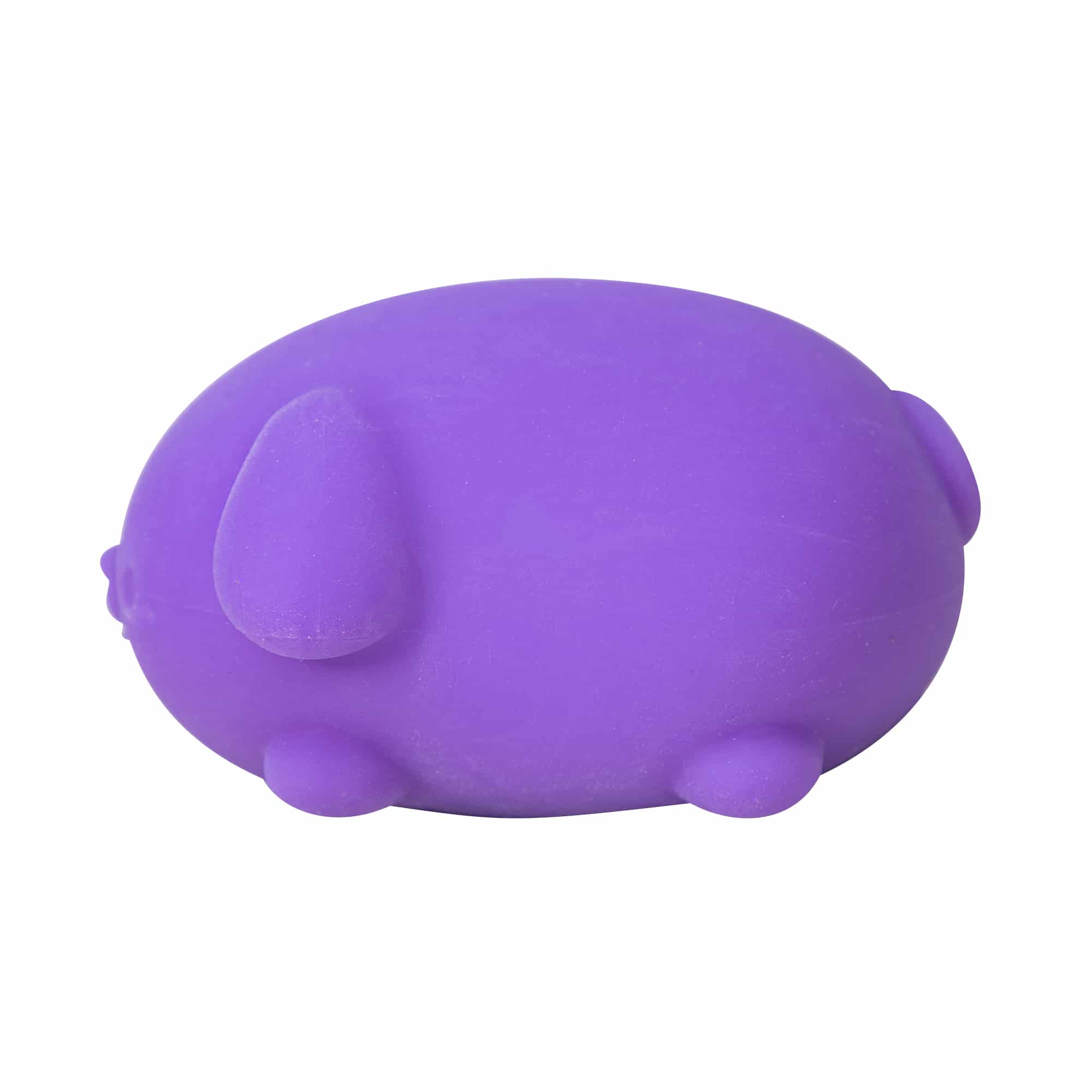 Animal-Shaped NeeDoh Funky Pup | Collection Canyon Shore - Collectible Shaggy Monster Squishable Toy Detail