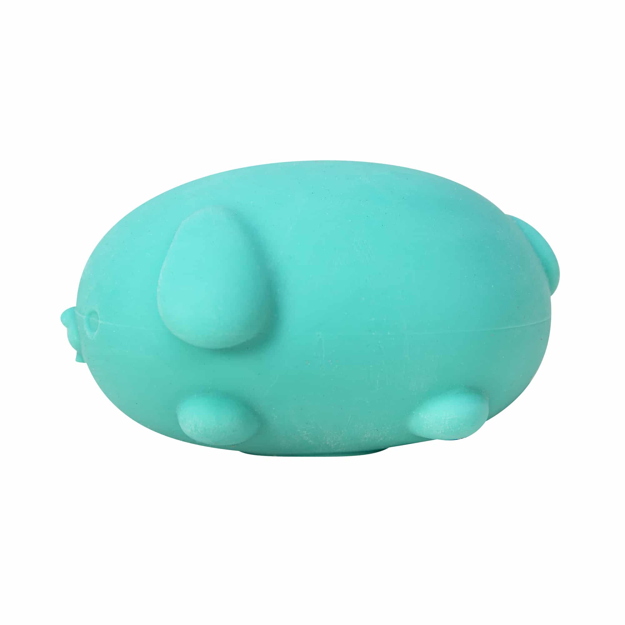 Animal-Shaped NeeDoh Funky Pup | Collection Canyon Shore - Collectible Shaggy Monster Squishable Toy Detail