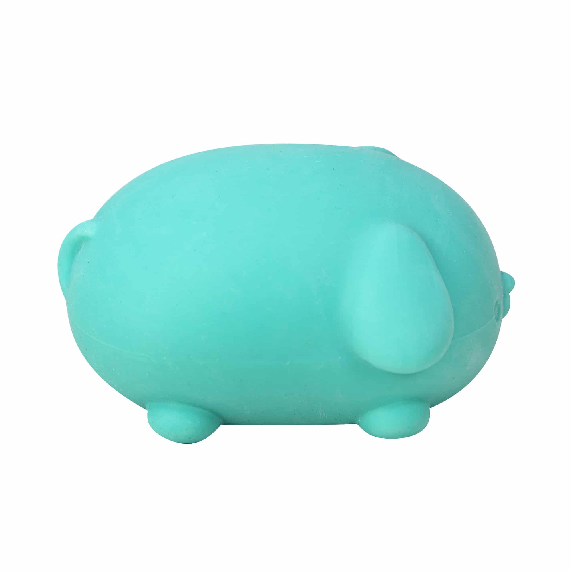 Animal-Shaped NeeDoh Funky Pup | Collection Canyon Shore - Collectible Shaggy Monster Squishable Toy Detail