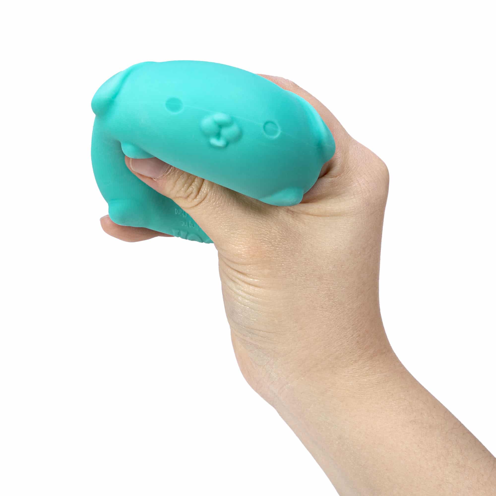 Animal-Shaped NeeDoh Funky Pup | Collection Canyon Shore - Collectible Shaggy Monster Squishable Toy Detail