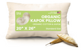 Orthopedic Support Kapok 20x26" Standard Bed Pillow – Organic Cotton Fabric Soft Sleeping Pillow - Made in USA - Hotel Quality Plush Sleeping Pillows - Default Title