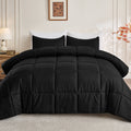 Hypoallergenic Cloud Queen Size Comforter Sets, 3 Piece Soft Quilted Bedding Sets, All-Season Down Alternative Comforter with 2 Pillow Sha... - Cloud-Like Soft Lightweight Bed Comforter - Default Title