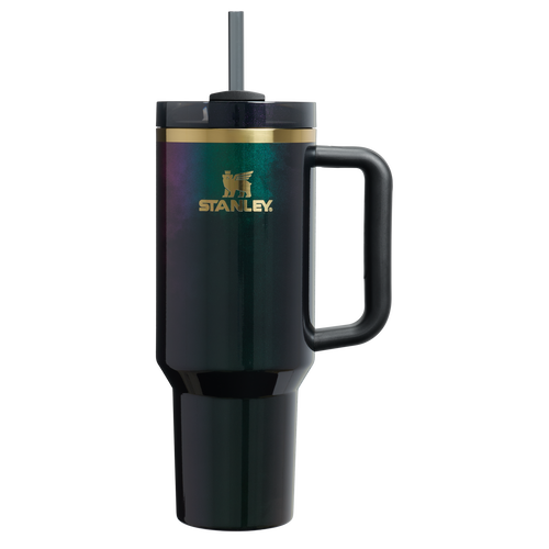 Car-Cup Friendly The Wicked for Good Quencher H2.0 Flowstate Tumbler D245R - Double-Wall Vacuum Insulated Travel Tumbler with Straw - Elphaba For Good