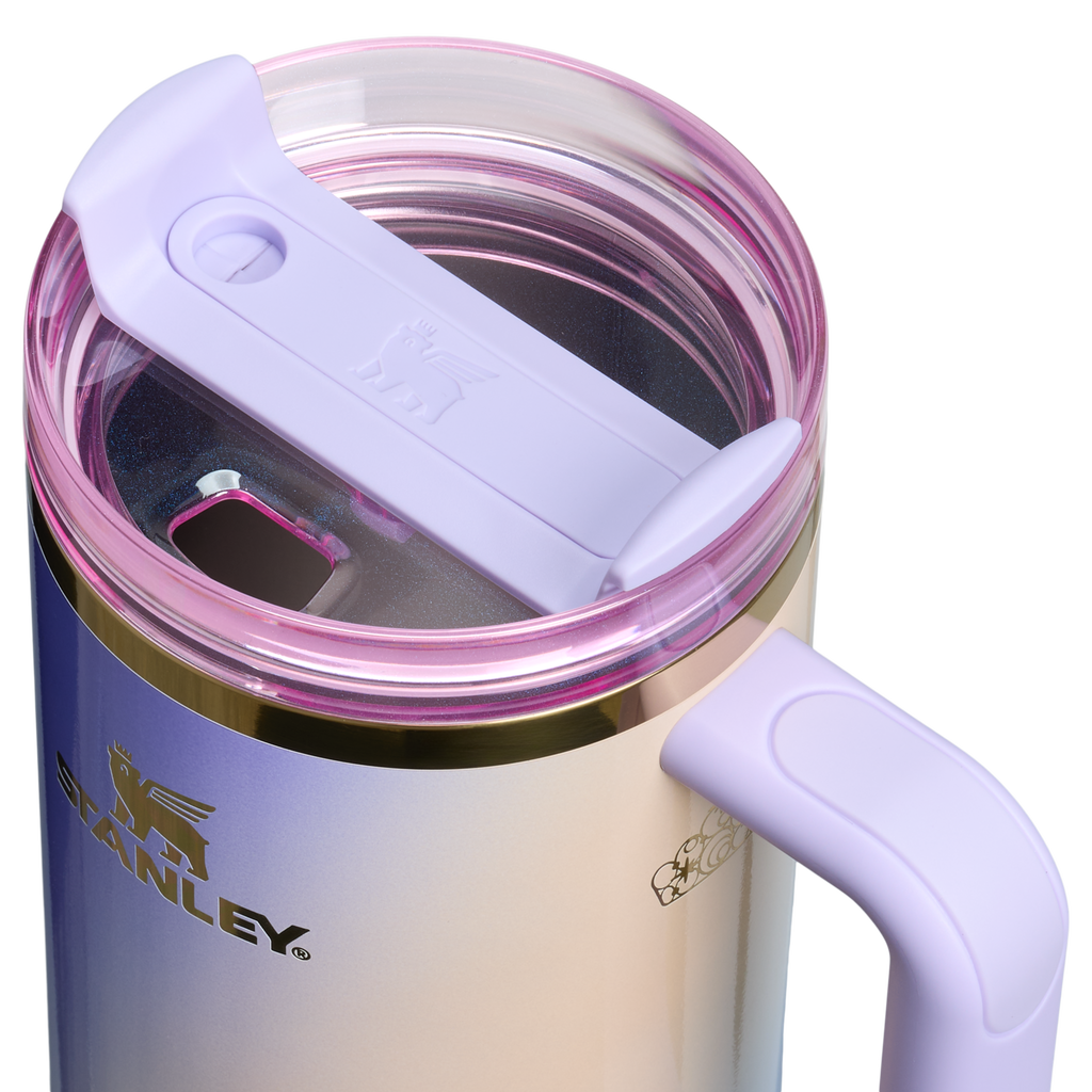 Car-Cup Friendly The Wicked for Good Quencher H2.0 Flowstate Tumbler D245R - Double-Wall Vacuum Insulated Travel Tumbler with Straw Detail