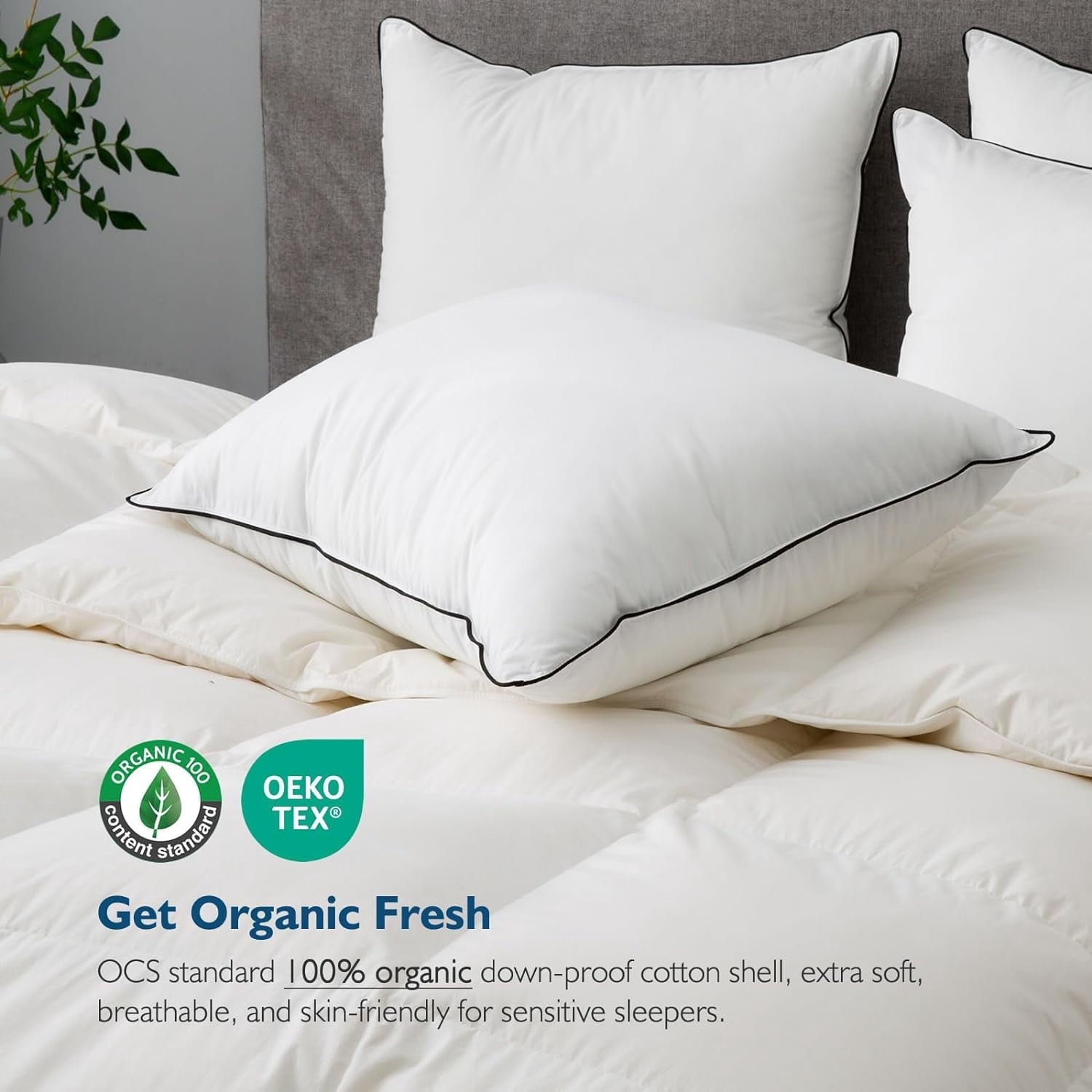 Hotel Collection Hypoallergenic 3‑Chamber Goose Feather Down Core Bed Pillows, Standard Size Set of 2, With Microfiber Surround, Soft-... - Decorative Throw Pillow Cushion for Sofa & Bed Detail